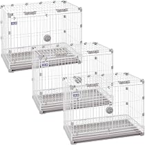 Amazon.co.jp: 【Mサイズ3個セット】2個・3個セット 業務用 ペット